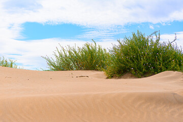 Playa del Fangar en el delta del ebro