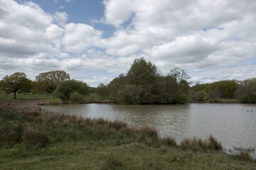 Fototapeta premium view of the lake at Petworth Park West Sussex England