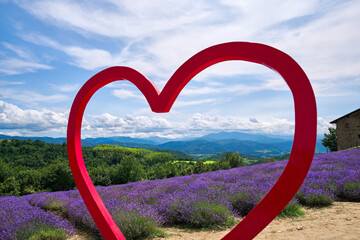 Decoration with heart on lavender field, Sale San Giovanni, Piedmont, Italy