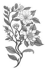 sunflower, abstract image, hand drawn flower with liner and pencil