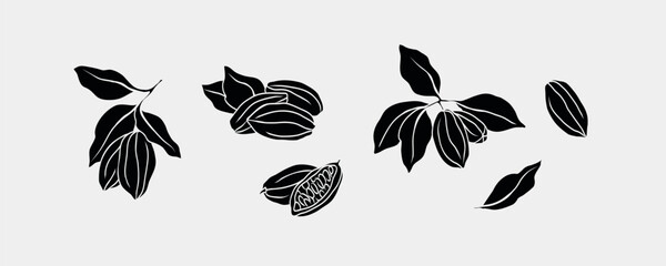 Flat vector cacao collection. Hand drawn cocoa beans