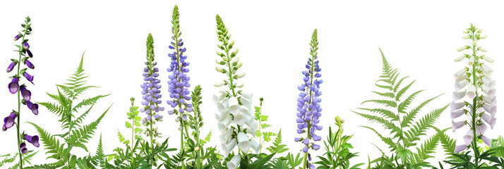 set of settings of lupines, foxgloves, and delphiniums with fern fronds and ivy, isolated on...