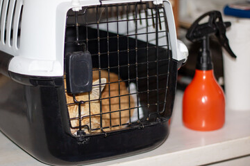 An orange carnivore cat naps in a metal cage with black and white grille