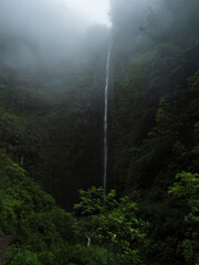 100 m high waterfall in thick fog at the end of Levada Caldeirao Verde hiking trail, Madeira...