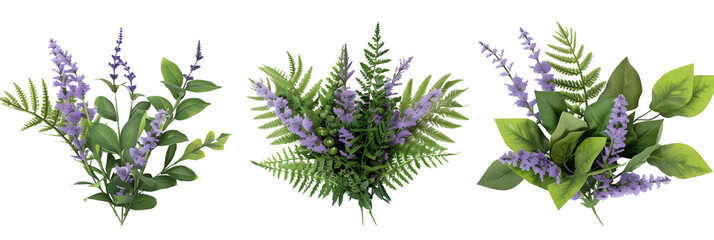 set of mixes of lavender with ferns and lush foliage, isolated on transparent background