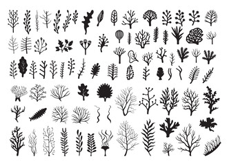 Naklejka premium underwater sea plants silhouette vector art illustration on white background, for graphic designs