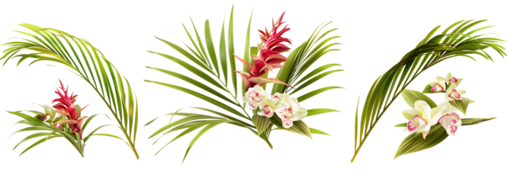 set of settings of ginger flowers with ti plant leaves and palm fronds, isolated on transparent background