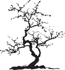 Plant on white background 