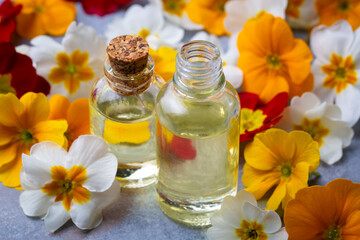 Organic cosmetics, Primula natural oil, handmade with herbal and primrose flower extracts in glass...