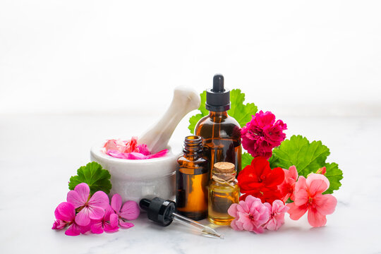 Geranium flower and geranium essential oil