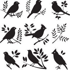 Birds Black Silhouettes on a Tree Branch