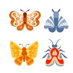 Butterflies set. Spring butterfly colorful wings. Tropical beautiful floral insect