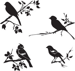 Birds Black Silhouettes on a Tree Branch