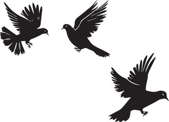 Fototapeta premium Birds Black Silhouettes on a Tree Branch