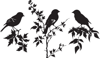 Birds Black Silhouettes on a Tree Branch