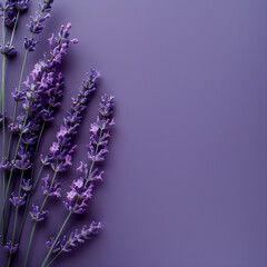 Elegant lavender sprigs lying on a smooth purple surface with soft shadows, creating a tranquil and...