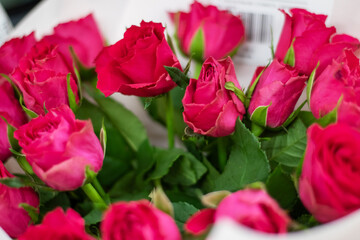 A bouquet of red garden roses in white wrapping, perfect for flower arranging