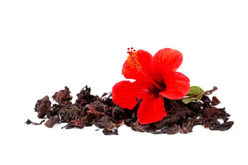Fresh and dried hibiscus flowers isolated on white background