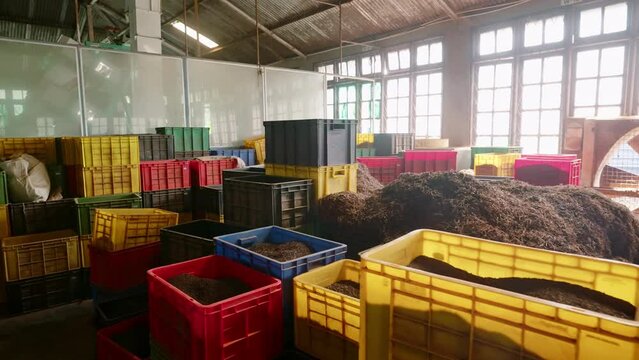 Inside tea factory, multicolored containers filled with various tea sorts, seen in rows. Processing area with heaps of dried tea leaves, ready for export market. Absent workers, machinery operation.