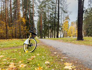 Active lifestyle, biking in autumn forest. MTB cycling, sporty nature ride on cycle