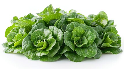 Obraz premium A close-up photograph of a bunch of fresh, green lettuce.