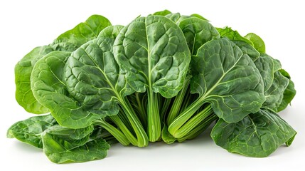 A close-up image of a bunch of fresh spinach leaves. The leaves are green and have a smooth texture. The bunch is tied together with a rubber band.