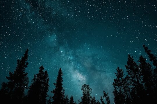 A dark night sky dotted with stars above a forest of tall trees, A backdrop as dark as the night sky - Powered by Adobe