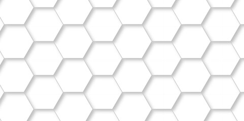 Fototapeta premium Abstract pattern with hexagonal white and gray technology line paper background. Hexagonal 3d vector grid tile and mosaic structure mess cell. white and gray hexagon honeycomb geometric copy space.