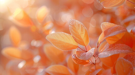 Fototapeta premium Golden autumn leaves glistening in warm sunlight