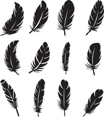 Set of black silhouette feather icons on white background
