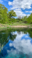 Obraz premium Countryside Pond with Reflections in the Spring