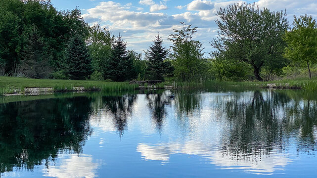 Countryside Pond with Reflections in the Spring