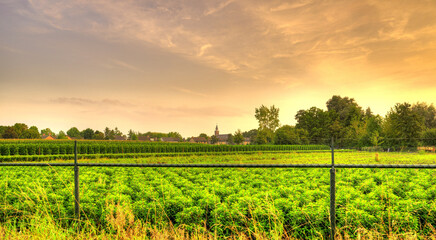 Sunset falls over the skyline of the village of Aarle-Rixtel, The Netherlands.