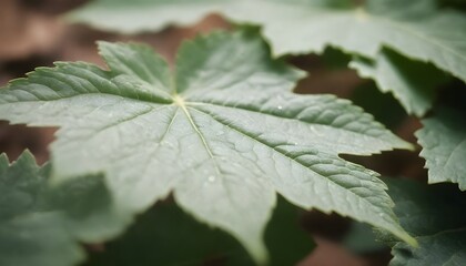 Macro leaves background create with ai
