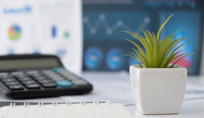 A green flower in the foreground on the table is a graphics calculator and a notepad