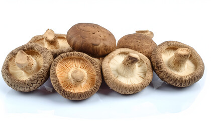 mushrooms isolated on white background
