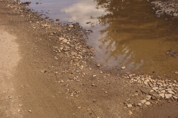 A muddy puddle in a dirt road.
