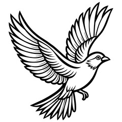 Obraz premium Bird flying outline vector illustration