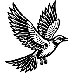 Bird flying outline vector illustration