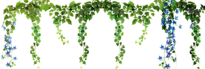 set of hanging creepers with tiny blue flowers, ideal for decorating garden arches, isolated on transparent background
