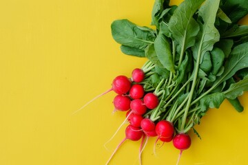 Fresh organic radishes with green leaves on a yellow background