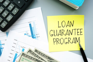Loan guarantee program is shown using the text