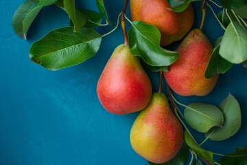 Ripe pears hanging on a branch with green leaves