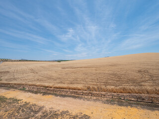 Scenic view of crop fields from Castillo de las Aguzaderas, old fortress of Muslim origin near the town of El Coronil, province of Seville, southern Spain 