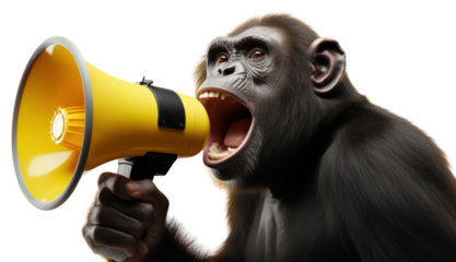 PNG Chimpanzee wildlife shouting mammal. 