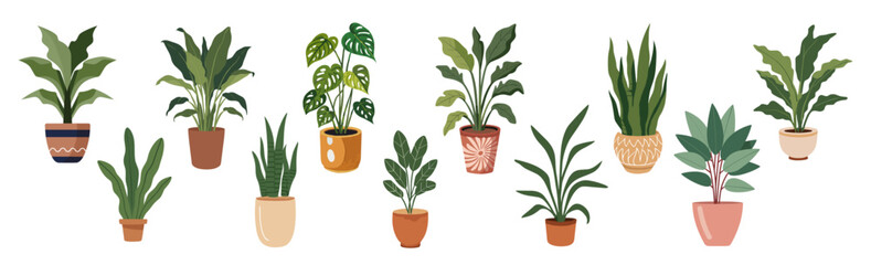 Set of different house plants in colorful hand made ceramic pots. Collection of indoor plants. Decorative natural elements for home decor. Vector illustrations isolated on transparent background.