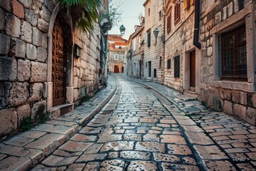 Fototapeta premium Cobblestone street with a lone palm tree in the center of the road, A cobblestone road winding through historic architecture