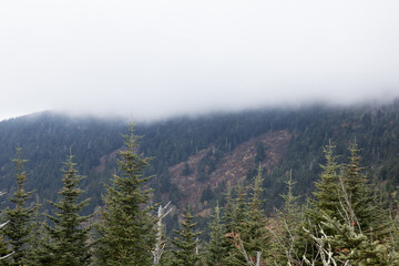 Smoky Mountains with low clouds