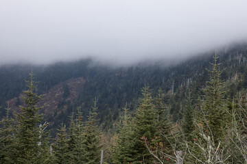 Smoky Mountains with low clouds
