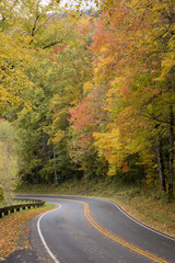 Fototapeta premium Road through the Autumn Woods